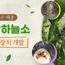 일락농원 이미지