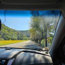 대병면사무소 | [합천] 부산근교 H 글램핑에서