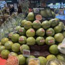 (주)한국로슈 | 중국 심천 하메이, 홀리랜드, 미니소, 더그린파티, 산리오, 젤리캣 - 쇼핑리스트 추천템