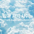 덥 Daum카페