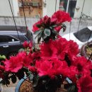 대문농장 이미지