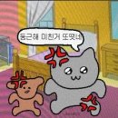 11545-02-10-53 | [일상] 02/14(토)~02/15(일) 강남 종일 투어 후 롯데홈쇼핑 방송, 그리고 진주행