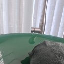 반포대로30길 6 | 서초 다이어트 바디움, 핫한 스파 다이어트 E큐브스파, 간반요쿠 후기