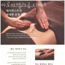 디베스 이미지