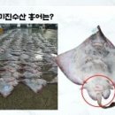 미진수산 이미지