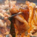 원조야채