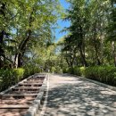 수봉공원 (문화회관방향) 이미지