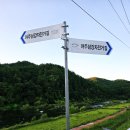 강변자전거길 1 | 횡성 섬강자전거길 1구간 강변 힐링 산책