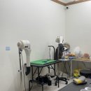 가히애견 이미지