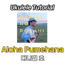 푸메하나 이미지