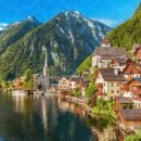 (주)초원렌트카 이미지