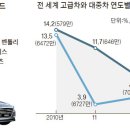 글로벌카프라자 이미지