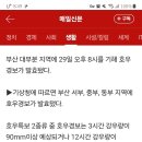 부산 호우경보 발령…지난해 1명 실종돼 숨진 온천천 등 통제, 재난문자 '외출자제' 요청 이미지