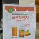 자연드림분당