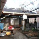 광양읍 광양동초등학교 이미지