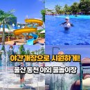 외솔큰길 | 2026 울산 동천 야외 물놀이장 야간개장 예약 방법 물놀이터부터 수영장까지 아이랑 가볼만한곳