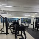 메가커피 | 바디스케치 PT 매탄점에서 경험한 최고의 매탄동 PT 후기
