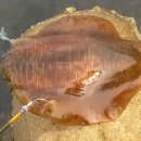 남해가족민박 이미지