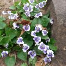 이그린마트 이미지