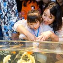 롯데월드아쿠아리움 이미지