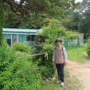 월하공원 이미지