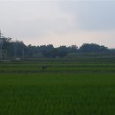 도니울마을 이미지