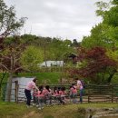 알콩달콩어린이집 이미지