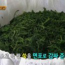 해남떡방앗간
