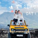 골든포레스트 | 발리 패키지 신혼여행 첫째 날 골든 튤립리조트 지프 투어 몽키 포레스트 후기