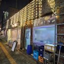 간판없는식당 | 성수동 맛집 불효자 성수 노포 감성 간판 없는 식당 돼지돌판구이