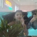 와우키즈풀빌라 이미지