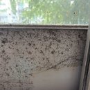 원천레이크파크 이미지