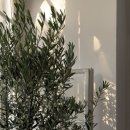 체형교정필라테스 이미지