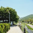 청룡농장 이미지