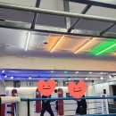 한남 권투 이미지