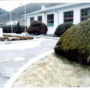 동막초등학교 이미지