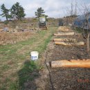 참다운농장 이미지