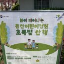 초록정원 | 용산어린이정원 초록빛 산책,온화 전시,오준이네감자탕,아모레퍼시픽 본사 건축물📷