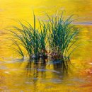 꿈이있는 이미지