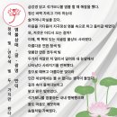 염불삼매 글 (부처님의 수행 일기 44)/청색 빛, 연두색 빛 두 가지만 왔다/부처님께 지극정성 발원했다/연한 미색 빛이 왔다 이미지