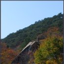 보은 이미지
