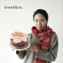 브레댄코 이미지