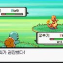 푸룬주스 효과가 엄청나네요. 이미지
