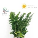 엣지하우스 이미지