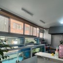 낙지명장 | 부산아구찜 현지인 밥집 명장동 명장해물촌