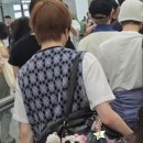 감자콘서트 이미지