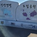 천사(1004)섬 여행사