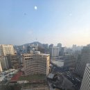 프레지던트호텔 | [국내여행] 서울 중심 가성비 4성! 프레지던트 호텔 솔직 후기 (위치★5)