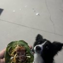 강릉축산 이미지