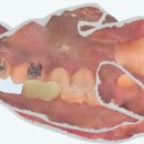 USC서울치과의원 이미지